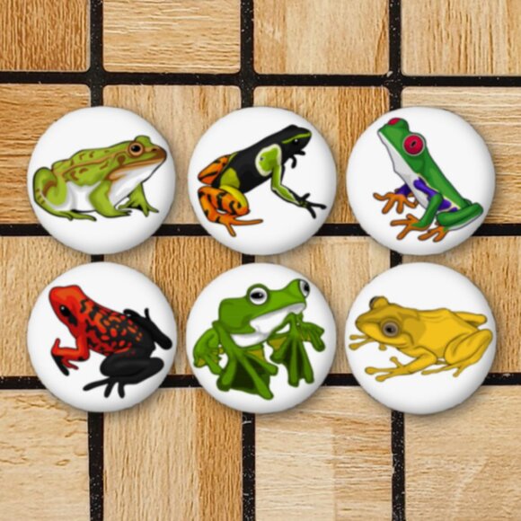 Frog Fridge Magnets Set Of 6 Metal Magnets For Home Office Kitchen School - Picture 1 of 6